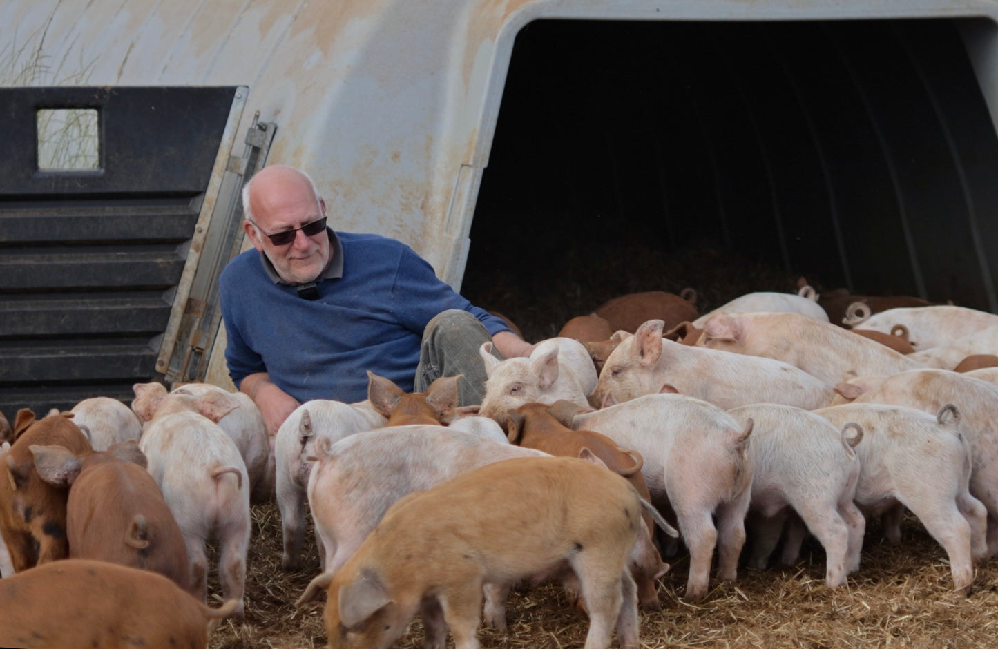 8 Person Herd Hamper