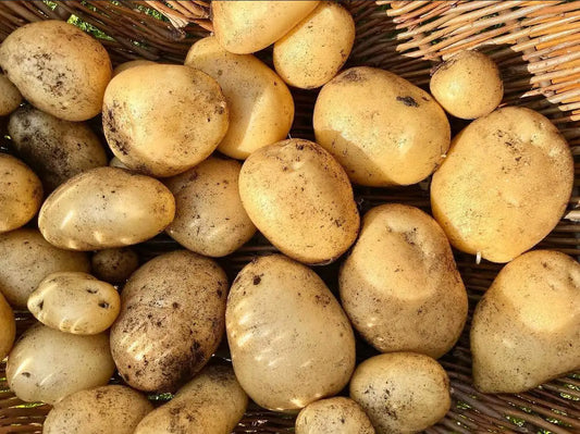 Estima Potatoes - 1kg