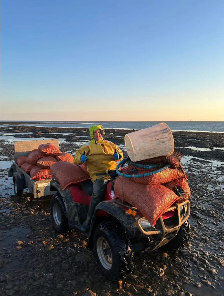 LIVE Wild Welsh Mussels, 1 kg