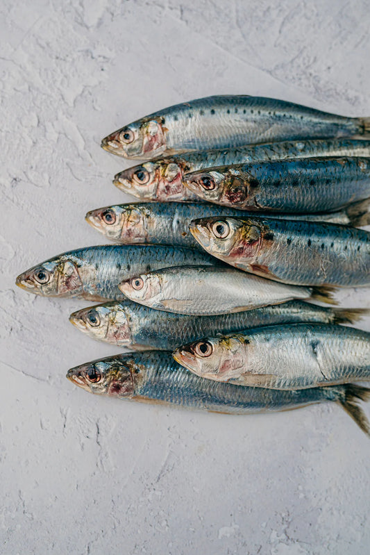 ❄️ Butterflied Sardines 300g